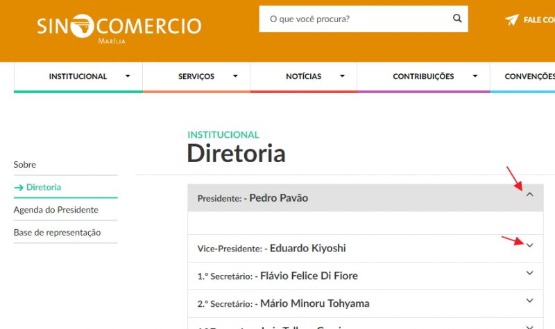 4-diretoria-site